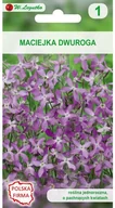 Nasiona i cebule - Legutko Maciejka dwuroga ROZOWOLAWENDOWA - miniaturka - grafika 1
