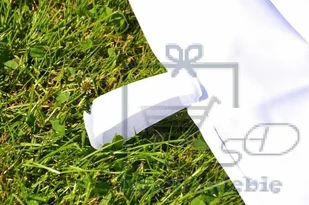 PROFI Garthen Pawilon ogrodowy rozkładany 3 x 3 m - biały 2 ściany - Pawilony ogrodowe PROFI Garthen Pawilon ogrodowy rozkładany 3 x 3 m - biały 2 ściany - Pawilony ogrodowe - miniaturka - grafika 5