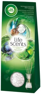 Air Wick PACHNĄCE PATYCZKI DESZCZOWA ŚWIEŻOŚĆ LASÓW AMAZONII 30 ML zakupy dla domu i biura 17926627 - Zapachy do domu - miniaturka - grafika 2