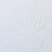 Przyborniki na biurko - Karton skóropodobny Delta A4 biały op 100 sztuk - miniaturka - grafika 1