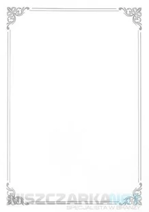 Papier ozdobny A4/190g na dyplomy SILVER 20szt. /210719/ AR702 - Papier do drukarek - miniaturka - grafika 2