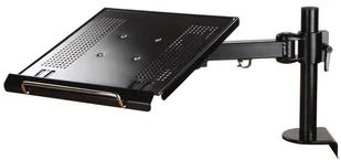 NewStar Ramię Obrotowe do Laptopa (wys.: 0-27 cm / głębokość: 30-60 cm) NOTEBOOK-D100 [6450892] - Części i akcesoria do laptopów - miniaturka - grafika 6