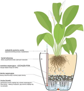 Lechuza Doniczka CLASSICO Color 18/17 muszkatołowy brąz - Donice - miniaturka - grafika 4