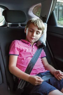 LittleLife Poduszka na pas bezpieczeństwa - Akcesoria do fotelików - miniaturka - grafika 3