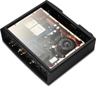 Auralic Vega G2.1 Czarny - Odtwarzacze sieciowe Auralic Vega G2.1 Czarny - Odtwarzacze sieciowe - miniaturka - grafika 4