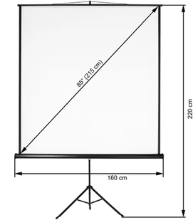 tectake Ekran projekcyjny na statywie - 152 x 152 cm 402513 - Ekrany projekcyjne - miniaturka - grafika 7