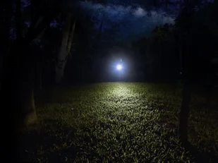 Fenix Latarka diodowa E12 V2.0 039-462 - Latarki - miniaturka - grafika 5