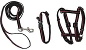Smycze dla psów - Kerbl 83785 zestaw naczyń z paskiem na szyję, i linka do koty odblaskowa - miniaturka - grafika 1