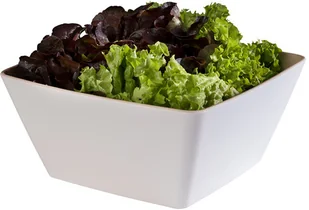 APS Miska z melaminy 250x250x120 mm, biała | APS, Frida 84592 - Wyposażenie lokali gastronomicznych - miniaturka - grafika 2