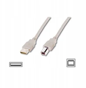 Wentronic Przewód połączeniowy USB 2.0 A  B wtyczka, beżowy, rożne. Długości, 5 m, czarny 4040849689024 - Kable komputerowe i do monitorów - miniaturka - grafika 2