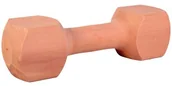 Zabawki dla psów - Trixie Aport drewniany kwadratowy 650g PTRI122 - miniaturka - grafika 1