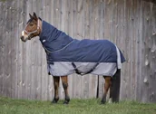 Derki dla konia - Equi-theme Derka padokowa TYREX 0g 600D - Equi-Theme 4009137 - miniaturka - grafika 1