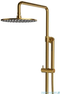 Omnires Contour system prysznicowy natynkowy termostatyczny złoto szczotkowane CT8044GLB - Zestawy prysznicowe - miniaturka - grafika 3