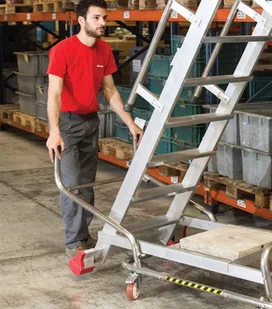 Faraone 996 99675070 Drabina magazynowa 7 stopniowa wysokość robocza 3,52m) 75070-uniw - Drabiny Faraone 996 99675070 Drabina magazynowa 7 stopniowa wysokość robocza 3,52m) 75070-uniw - Drabiny - miniaturka - grafika 3