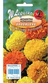 Nasiona i cebule - Legutko Aksamitka wzniesiona mieszanka bezzapachowa - miniaturka - grafika 1