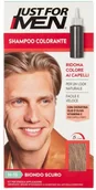 Farby do włosów i szampony koloryzujące - Combe International Limited Just For Men H-15 Ciemny Blond Just For Men H-15 - miniaturka - grafika 1