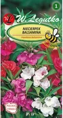 Nasiona i cebule - Legutko Niecierpek balsamina mieszanka 1g - miniaturka - grafika 1