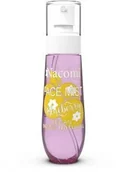 Toniki i hydrolaty do twarzy - Nacomi Face Mist Vegan Natural Bluberry mgiełka do ciała i twarzy o zapachu Borówki 80ml - miniaturka - grafika 1