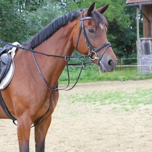 Kerbl 416059 Wytok dla kuców, czarny, 323598 - Akcesoria jeździeckie - miniaturka - grafika 2