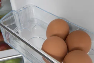 Lodówka Amica FK2695.4FT - Lodówki - miniaturka - grafika 8