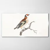 Obrazy i zdjęcia - PL Coloray Obraz Szklany Rysunek zwierzę ptak gałąź 120x60cm - miniaturka - grafika 1