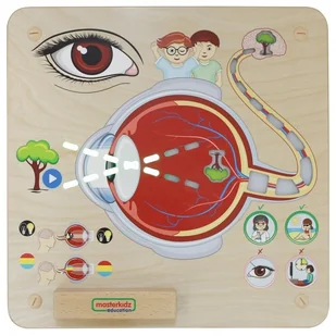 Masterkidz MASTERKIDZ Tablica Edukacyjna Zmysł Wzroku ME15815 - Tablice dla dzieci - miniaturka - grafika 4