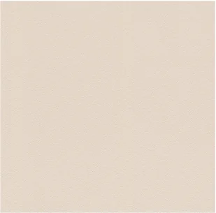 Rasch Tapeta Modern Surfaces 2 607789 0,53x10,0/Tapeta Flizelinowa/GAT 1 RA 607789 - Tapety - miniaturka - grafika 2