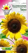 Nasiona i cebule - Toraf KWIATY Słonecznik Taiyo nasiona 2g 00478 - miniaturka - grafika 1