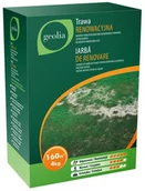 Trawy i trawniki - GEOLIA Nasiona trawy renowacyjnej 4kg Geolia - miniaturka - grafika 1