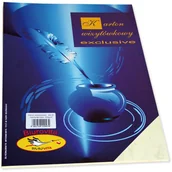 Wizytowniki - PROTOS Papier ozdobny (wizytówkowy) Biurovita A4 prazki biały 246g 20 ark. - miniaturka - grafika 1