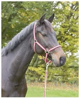 Obroże dla kotów - Kerbl KERBL jazdy konnej Hippo zestawy obroża, czerwony 328260 - miniaturka - grafika 1