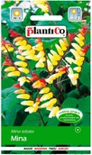 Nasiona i cebule - Plantico Mina - miniaturka - grafika 1