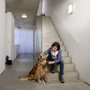 LEDVANCE Lunive Area lampa sufitowa 40cm 4 000 K - Lampy sufitowe - miniaturka - grafika 4