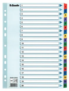 Esselte PRZEKŁADKI KARTONOWE A4 MYLAR 1-20 - Przekładki do segregatorów - miniaturka - grafika 2