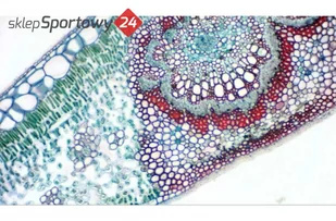 Bresser KAMERA OKULAROWA CYFROWA MIKROKULAR FULL HD - Akcesoria fotograficzne - miniaturka - grafika 8