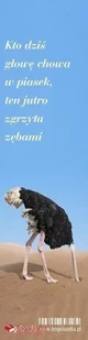 Bogulandia Zakładka do książki- Kto dziś głowę chowa w piasek - Powieści - miniaturka - grafika 2