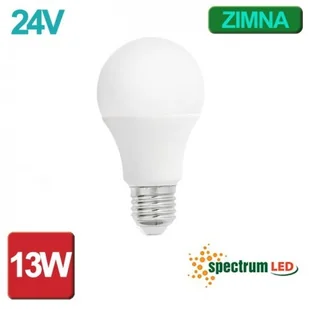 Spectrum LED SPECJALNA ŻARÓWKA LED GLS E27 NISKONAPIĘCIOWA 24VAC/DC 13W ZIMNA BIAŁA BARWA WOJ+14135 - Lampy ogrodowe - miniaturka - grafika 2