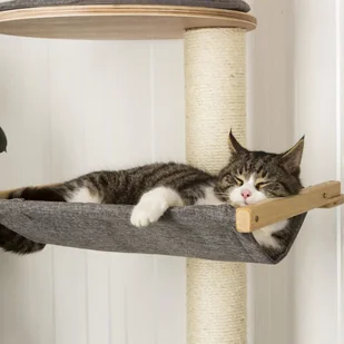 Kerbl Drapak dla kota Dolomit XL Tofana, na ścianę, szary, 185 cm 81541 - Drapaki dla kotów - miniaturka - grafika 3