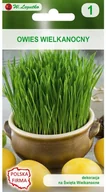 Nasiona i cebule - Legutko Owies wielkanocny - miniaturka - grafika 1