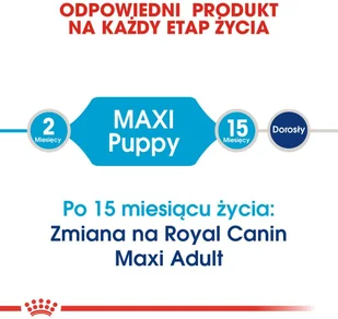 Royal Canin Maxi Puppy 15kg + 10x140g saszetka 9003579008447/0 - Mokra karma dla psów - miniaturka - grafika 4
