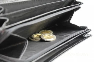 Elkor Portfel Damski (PL) Długi Suwak Wewnątrz Skóra Naturalna - Portfele Elkor Portfel Damski (PL) Długi Suwak Wewnątrz Skóra Naturalna - Portfele - miniaturka - grafika 8