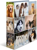 Teczki i skoroszyty - Herma Ordner A4 Hunde 7165 - miniaturka - grafika 1