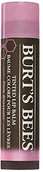 Balsamy do ust - Burt's Bees Tinted Lip Balm Pink Blossom, 1er Pack (1 X 4,25 G) 89465-14 - miniaturka - grafika 1