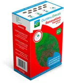 Trawy i trawniki - OBI Global Grass Mieszanka traw Renovation standard 500 g - miniaturka - grafika 1