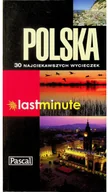 Biznes - Polska Last minute Używana - miniaturka - grafika 1