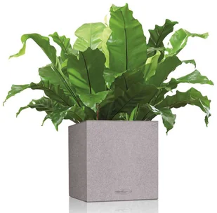 Lechuza Donica Canto Color Square 40 ALL-IN-ONE, szara, 13720 - Donice - miniaturka - grafika 4