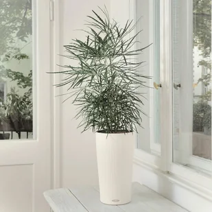 Lechuza Donica CILINDRO Color 23 biały - Donice - miniaturka - grafika 4