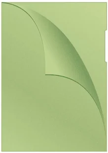 Q-CONNECT OBWOLUTA TYPU L, PP, A4, GROSZKOWA, ZIELONA - Koszulki na dokumenty - miniaturka - grafika 3