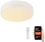 Systemy inteligentnych domów - Immax Neo Immax NEO 07153-W50 - LED Ściemniana lampa PERFECTO 48W/230V Wi-Fi Tuya + pilot - miniaturka - grafika 1