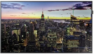 Samsung QM49F - Monitory reklamowe i wyświetlacze - miniaturka - grafika 4